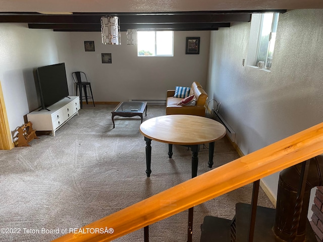 living room with carpet floors and a baseboard radiator