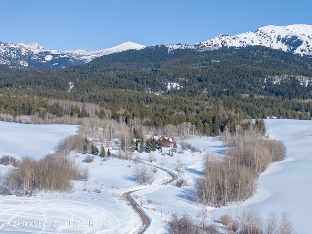 5 W Blair Rd, Alta, WY 83414 - view of property view of mountains