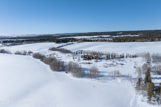 5 W Blair Rd, Alta, WY 83414 - view of snowy aerial view