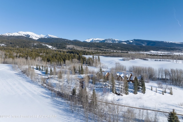 5 W Blair Rd, Alta, WY 83414 - view of property view of mountains