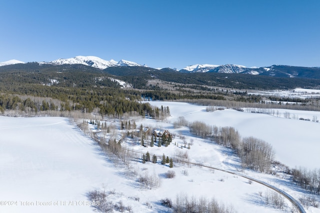 5 W Blair Rd, Alta, WY 83414 - exterior space