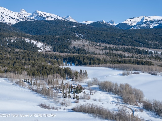 5 W Blair Rd, Alta, WY 83414 - view of mountain feature