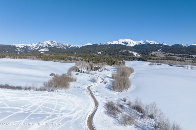 5 W Blair Rd, Alta, WY 83414 - exterior space
