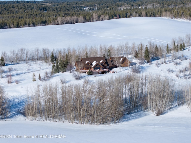 5 W Blair Rd, Alta, WY 83414 - view of snowy aerial view