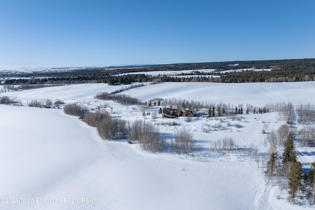 5 W Blair Rd, Alta, WY 83414 - view of snowy aerial view