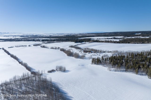 5 W Blair Rd, Alta, WY 83414 - view of snowy aerial view