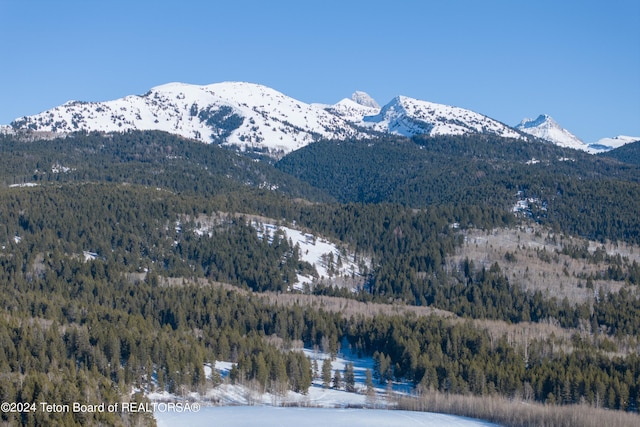 5 W Blair Rd, Alta, WY 83414 - view of property view of mountains