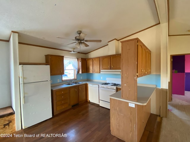 kitchen featuring lofted ceiling, white appliances, dark wood-type flooring, sink, and ceiling fan