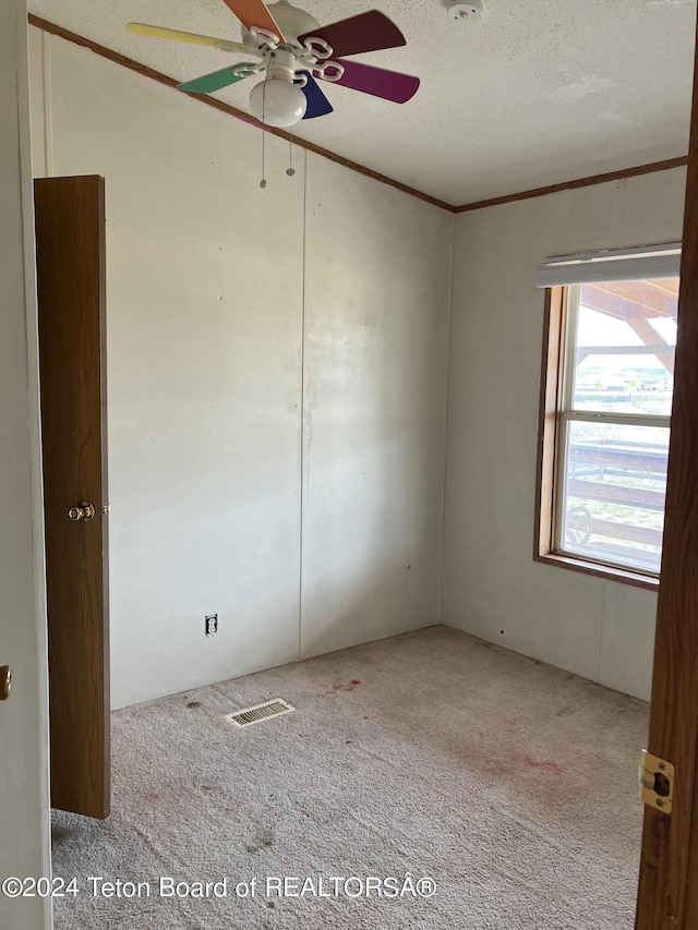 carpeted spare room featuring a textured ceiling, ceiling fan, and ornamental molding