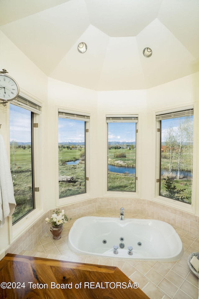 bathroom with a healthy amount of sunlight and vaulted ceiling