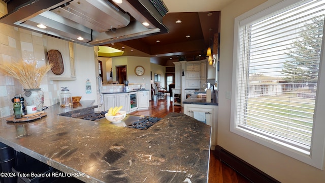 kitchen featuring dark hardwood / wood-style floors, a healthy amount of sunlight, and white cabinetry