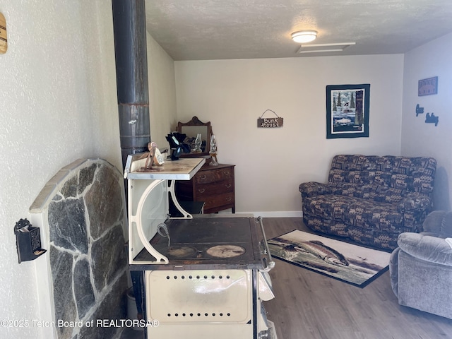 4193 Old Irwin Rd, Irwin, ID 83428 - living area featuring a textured ceiling, baseboards, and wood finished floors