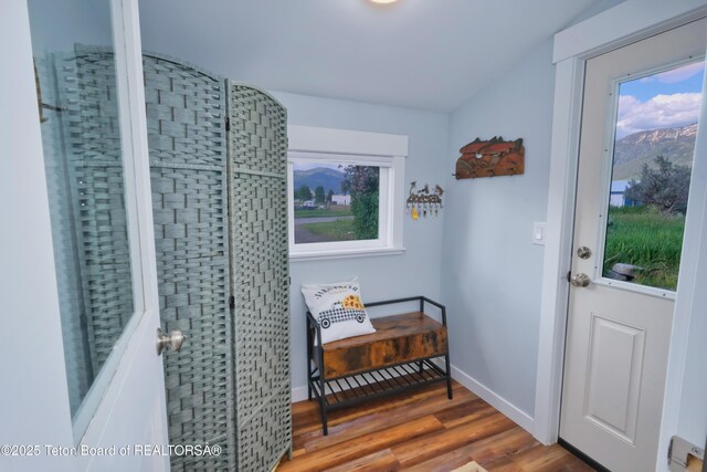 4193 Old Irwin Rd, Irwin, ID 83428 - doorway to outside featuring wood finished floors and baseboards
