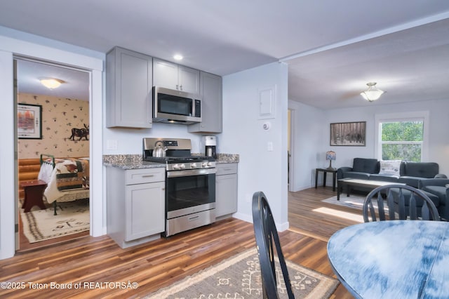 4193 Old Irwin Rd, Irwin, ID 83428 - kitchen featuring appliances with stainless steel finishes, open floor plan, light stone countertops, dark wood finished floors, and gray cabinetry