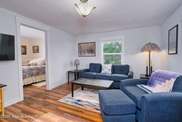 4193 Old Irwin Rd, Irwin, ID 83428 - living area with wood finished floors and baseboards