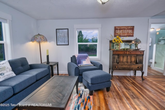 4193 Old Irwin Rd, Irwin, ID 83428 - living room featuring wood finished floors