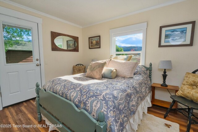 4193 Old Irwin Rd, Irwin, ID 83428 - bedroom featuring wood finished floors and crown molding