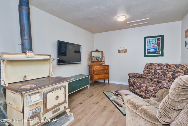 4193 Old Irwin Rd, Irwin, ID 83428 - living room featuring light wood-style flooring and a wood stove