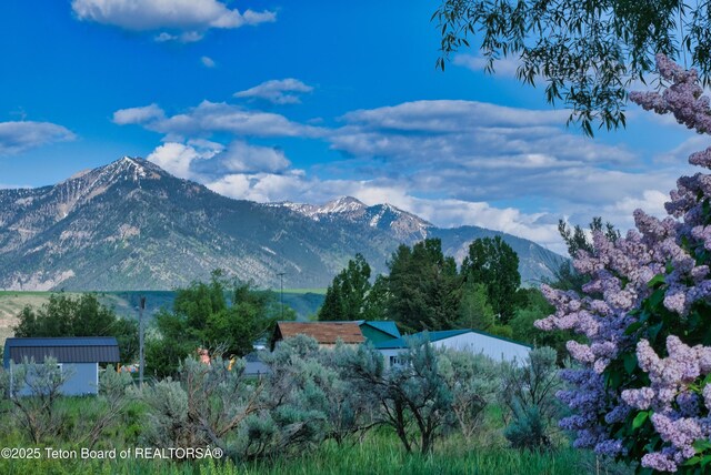 4193 Old Irwin Rd, Irwin, ID 83428 - view of mountain backdrop