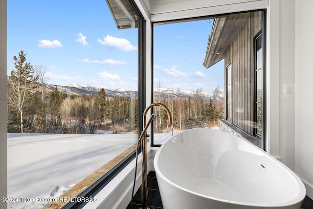 interior space featuring a freestanding bath and a mountain view