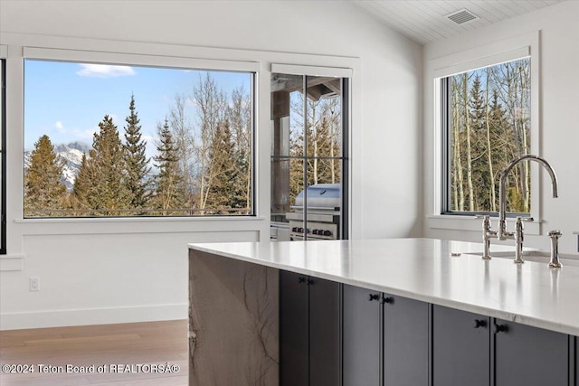 kitchen with a wealth of natural light, a sink, visible vents, and light wood-style floors