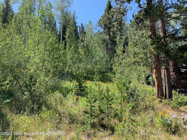 20 Blackfoot Trl, Victor ID, 83455 land for sale