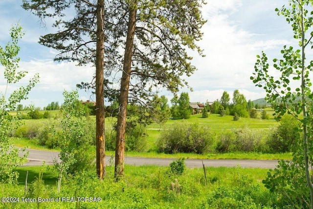 Listing photo 3 for 20 Blackfoot Trl, Victor ID 83455