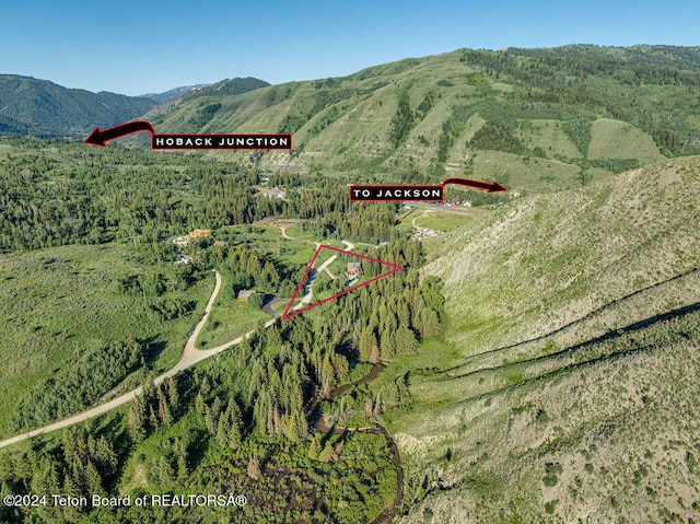 birds eye view of property with a mountain view