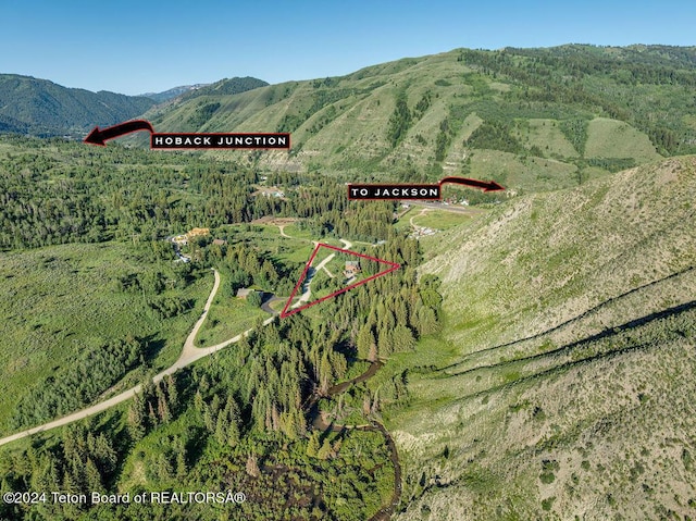 birds eye view of property featuring a mountain view