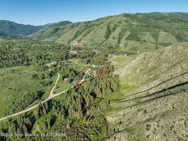 birds eye view of property with a mountain view