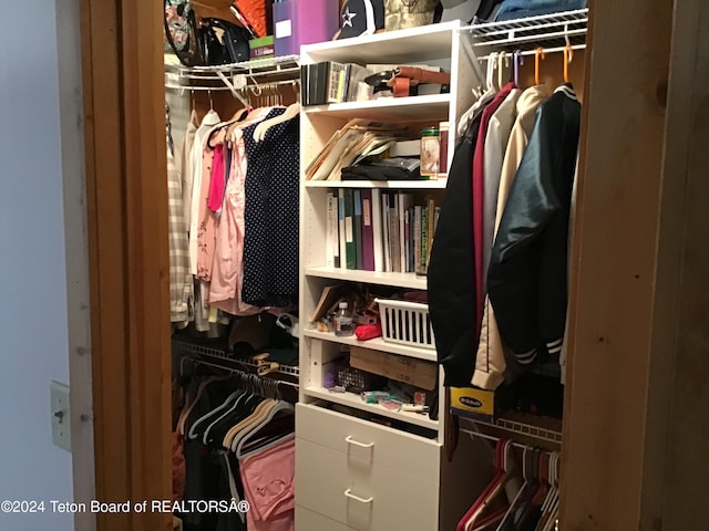 view of spacious closet