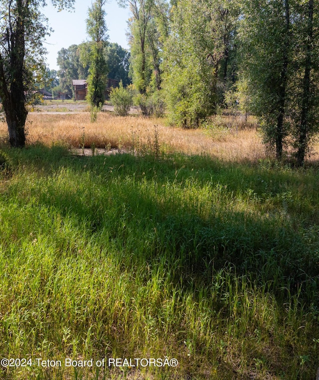 3820 Pony Dr, Wilson, WY 83014