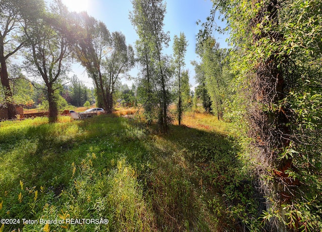 3820 Pony Dr, Wilson, WY 83014