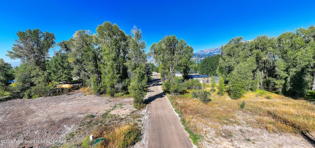 3820 Pony Dr, Wilson, WY 83014