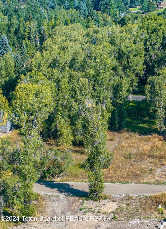 3820 Pony Dr, Wilson, WY 83014