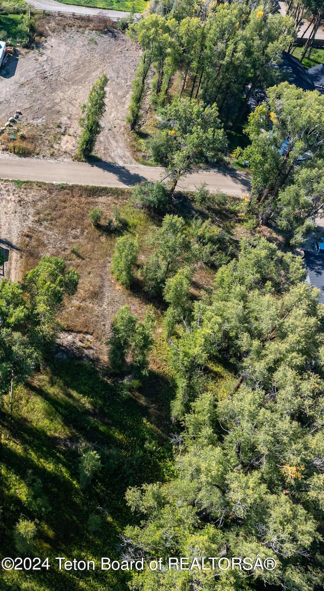 3820 Pony Dr, Wilson, WY 83014