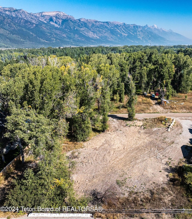 3820 Pony Dr, Wilson, WY 83014