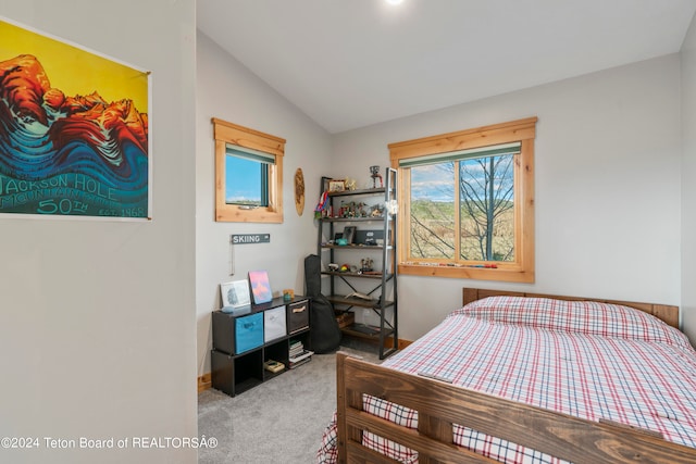 carpeted bedroom featuring lofted ceiling