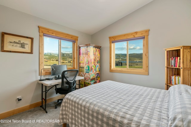 carpeted bedroom with multiple windows and vaulted ceiling