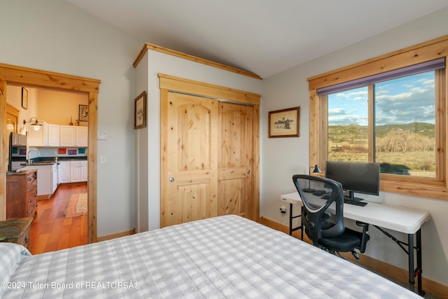 bedroom featuring a closet, sink, and light hardwood / wood-style flooring