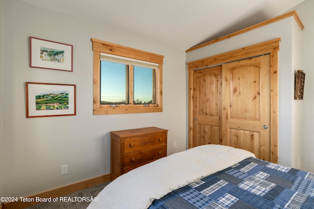 carpeted bedroom with vaulted ceiling and a closet