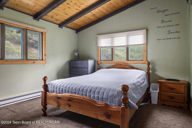 10830 S S Old Yellowstone Rd, Jackson, WY 83001 - photo 24