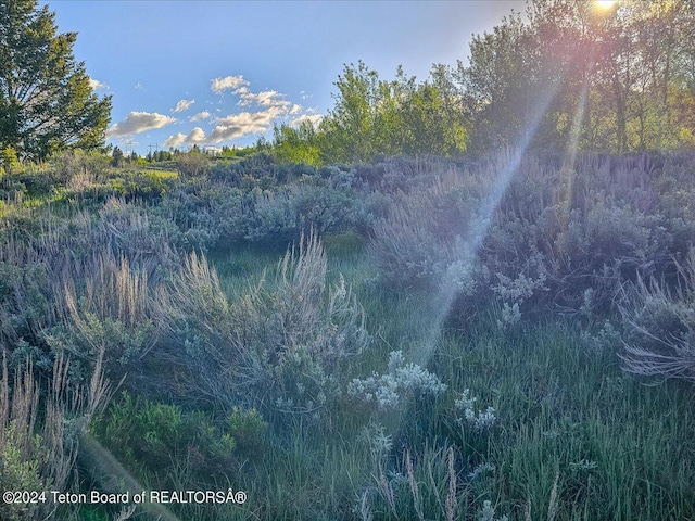 10830 S S Old Yellowstone Rd, Jackson, WY 83001 - photo 43