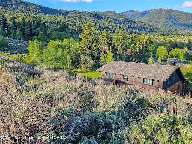 10830 S S Old Yellowstone Rd, Jackson, WY 83001 - photo 44