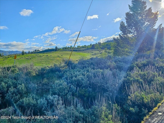 10830 S S Old Yellowstone Rd, Jackson, WY 83001 - photo 45