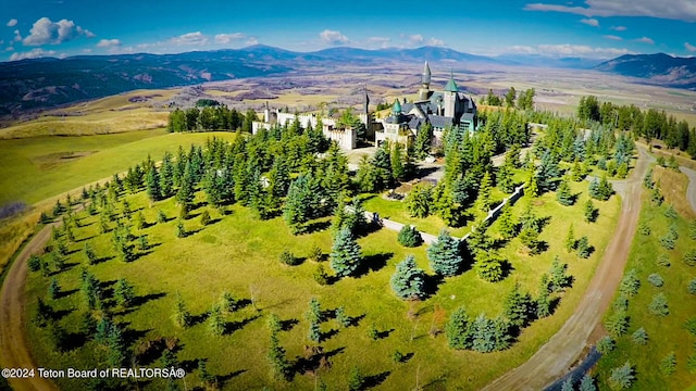 bird's eye view with a mountain view