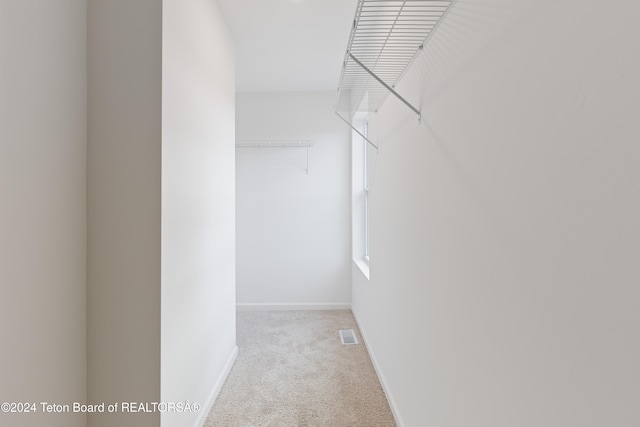 walk in closet featuring light colored carpet