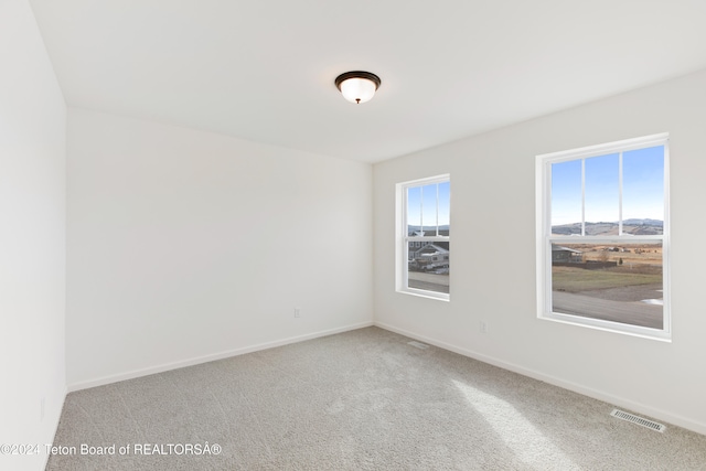 carpeted spare room featuring a mountain view and plenty of natural light