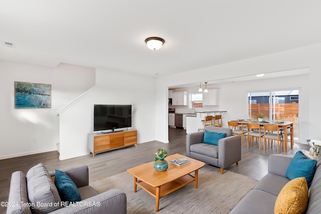 living room with wood-type flooring and sink