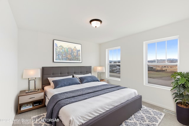 carpeted bedroom featuring multiple windows